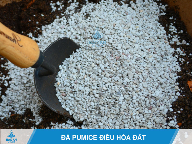 Làm vườn hiệu quả với đá bọt Pumice baoangreen.vn