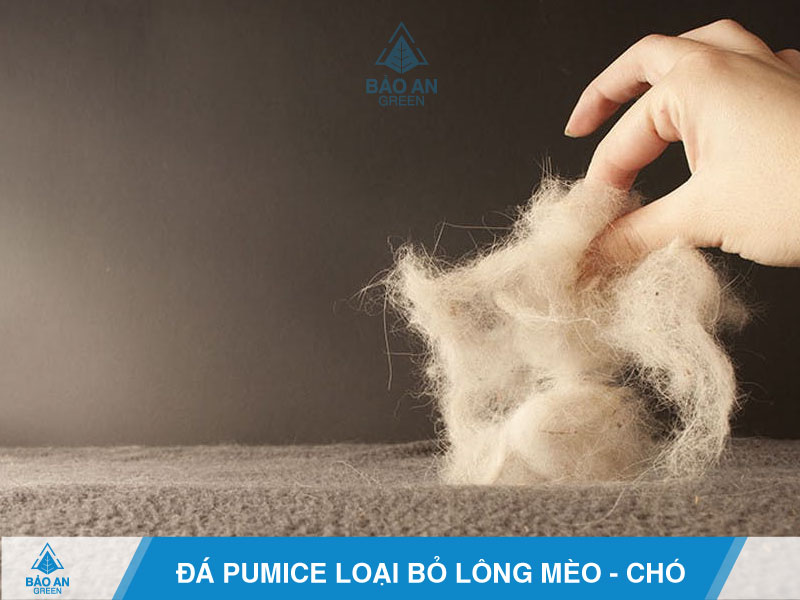 9 mẹo vặt gia đình hữu ích với đá bọt Pumice baoangreen.vn