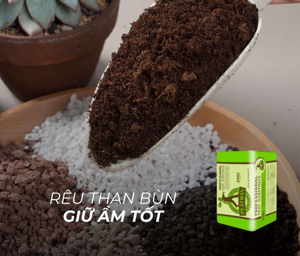 Rêu than bùn hỗ trợ cây trồng giữ ẩm tốt 