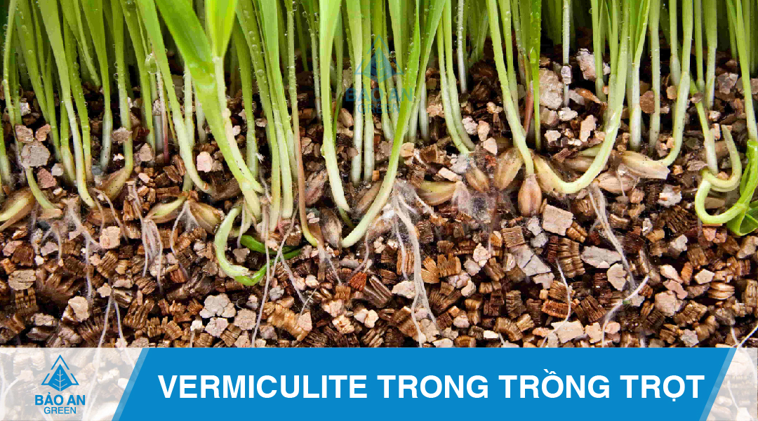 Đá Vermiculite vật liệu bảo quản vận chuyển chất lỏng hiệu quả baoangreen.vn