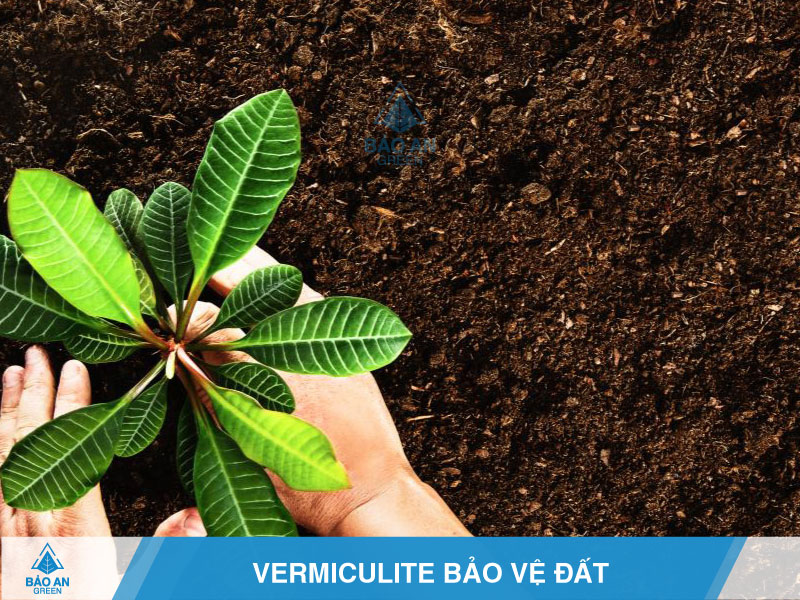 7 công dụng vượt trội của đá Vermiculite trong làm vườn baoangreen.vn