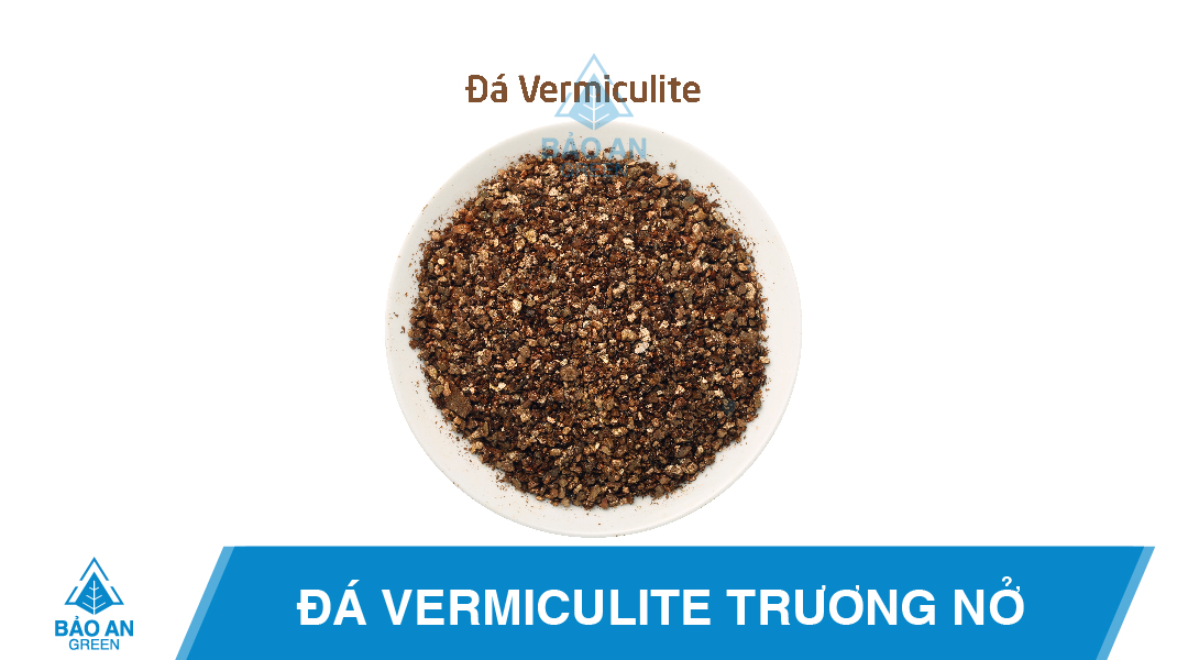 7 công dụng vượt trội của đá Vermiculite trong làm vườn baoangreen.vn