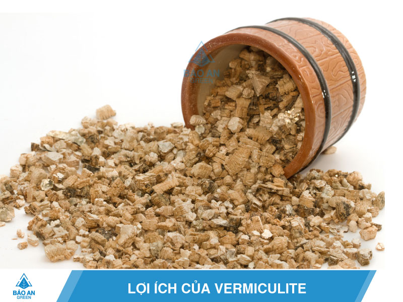Giá thể trồng cây với đá Vermiculite ưu điểm vượt trội baoangreen.vn