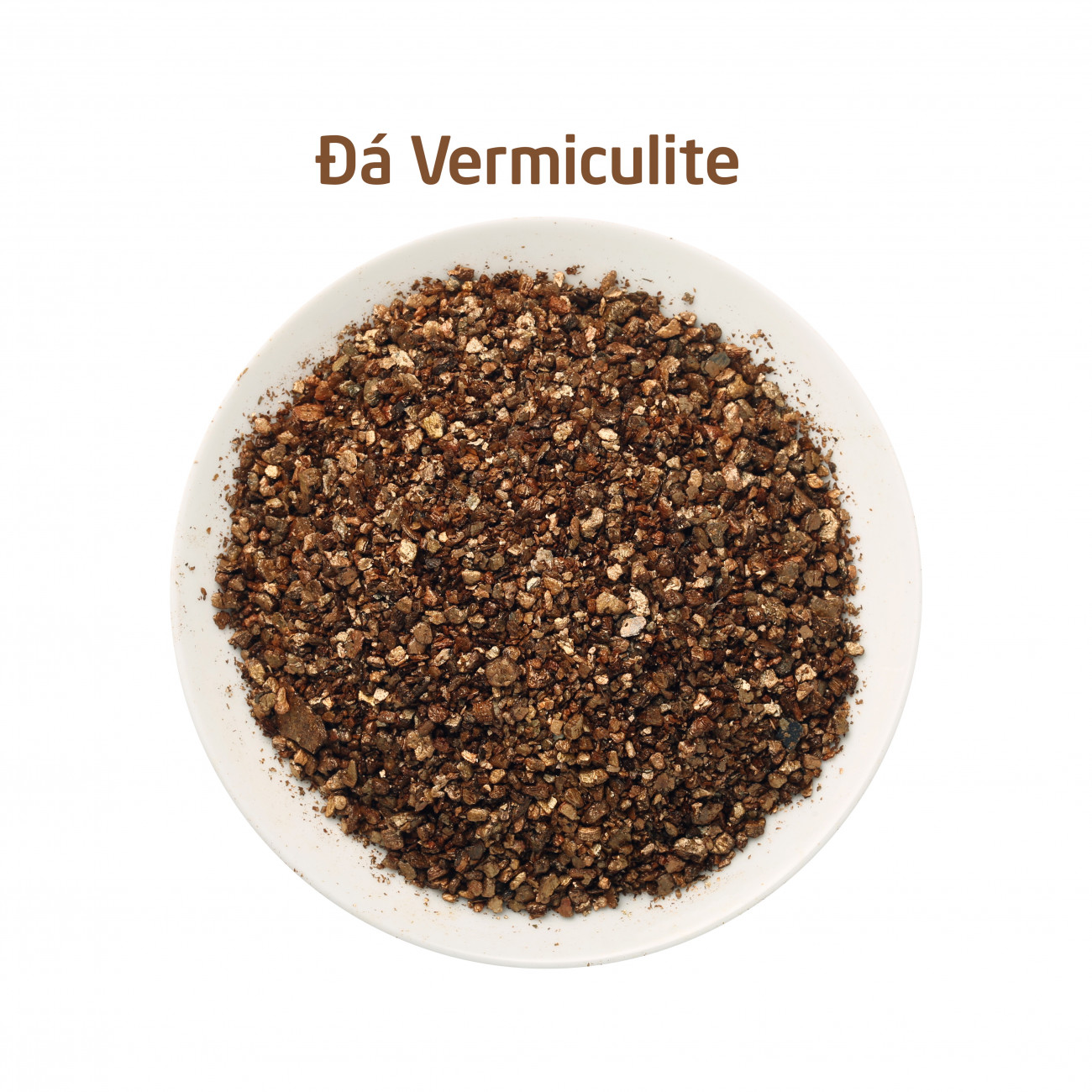 Ứng dụng của Đá Vermiculite trong ấp trứng bò sát Lguana baoangreen.vn