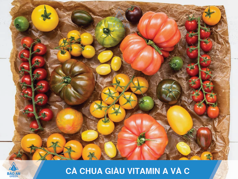 Cách trồng cà chua đơn giản hiệu quả nhất baoangreen.vn