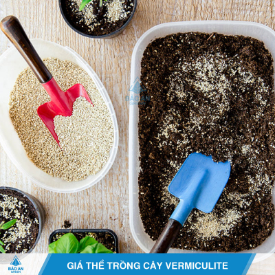 Giá thể trồng cây với đá Vermiculite ưu điểm vượt trội