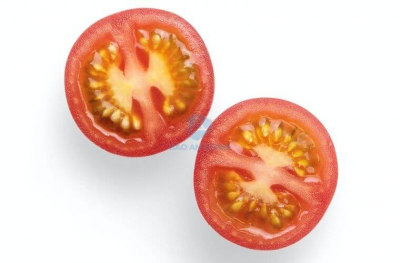 Cách trồng cà chua bằng hạt siêu ra trái