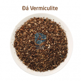Đá khoáng Vermiculite